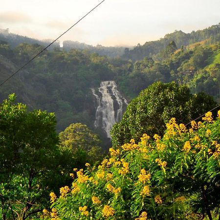 Rose Dale Homestay Ella Ngoại thất bức ảnh