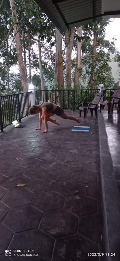 Rose Dale Homestay Ella Ngoại thất bức ảnh