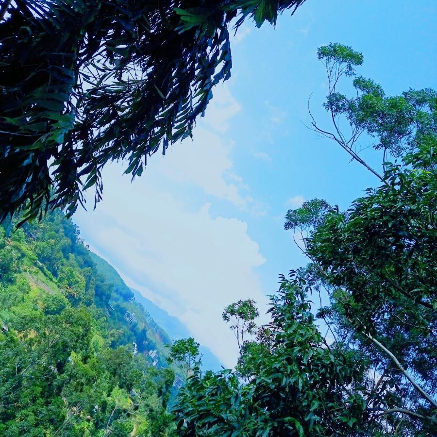Rose Dale Homestay Ella Ngoại thất bức ảnh