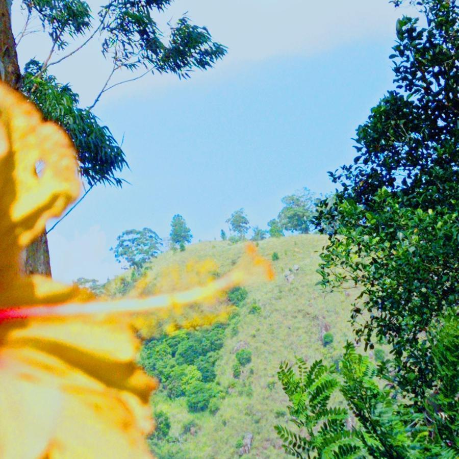 Rose Dale Homestay Ella Ngoại thất bức ảnh