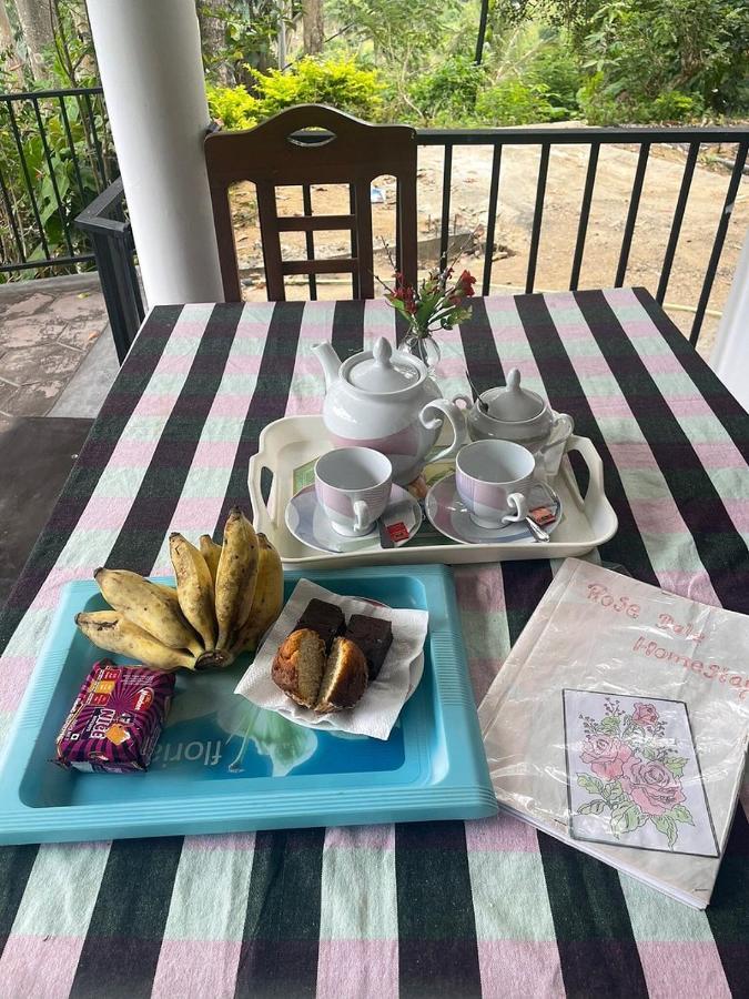 Rose Dale Homestay Ella Ngoại thất bức ảnh