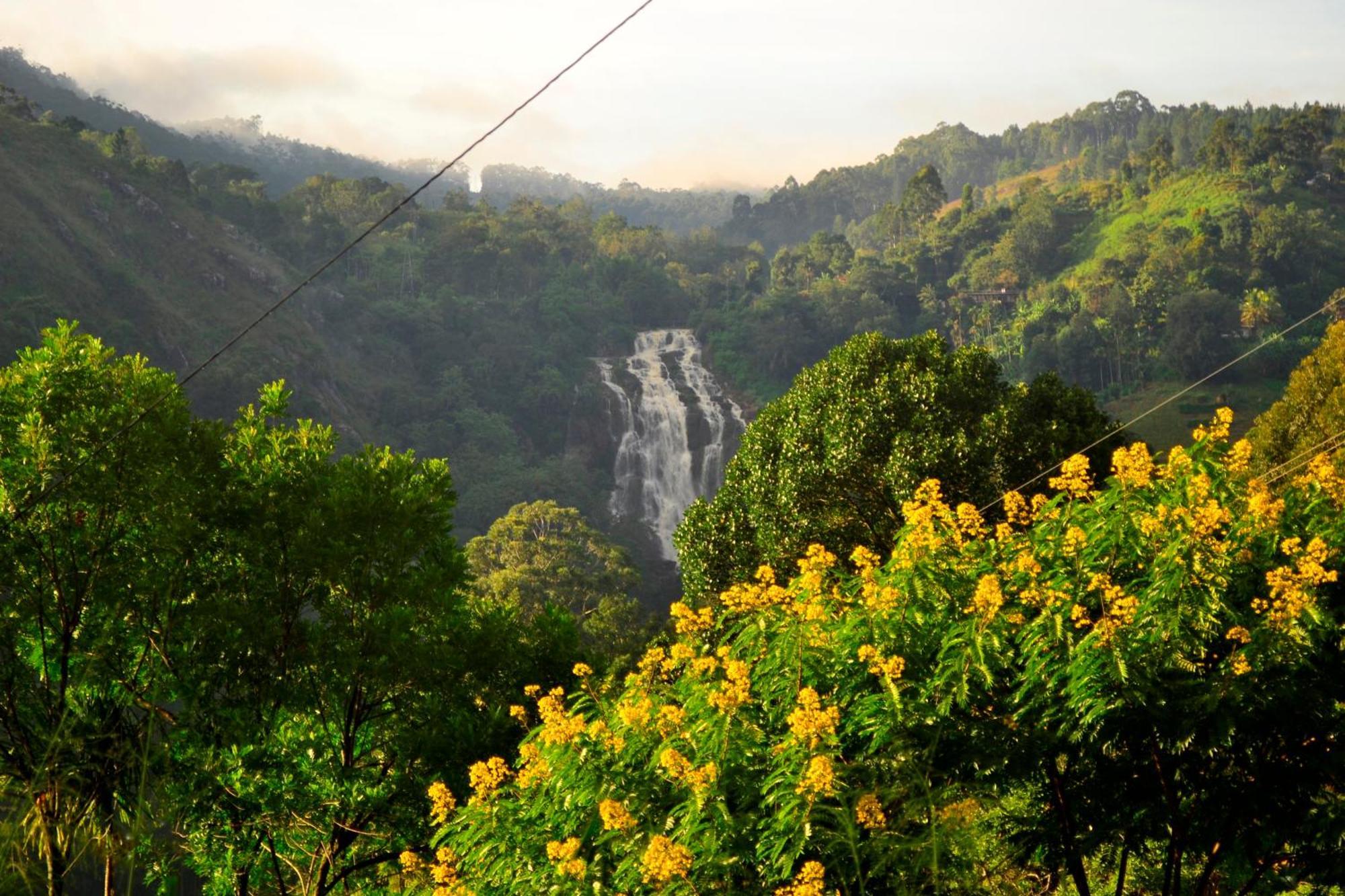 Rose Dale Homestay Ella Ngoại thất bức ảnh